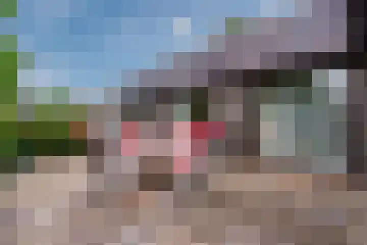 Geerdinkhof 204 Amsterdam thumbnail 19