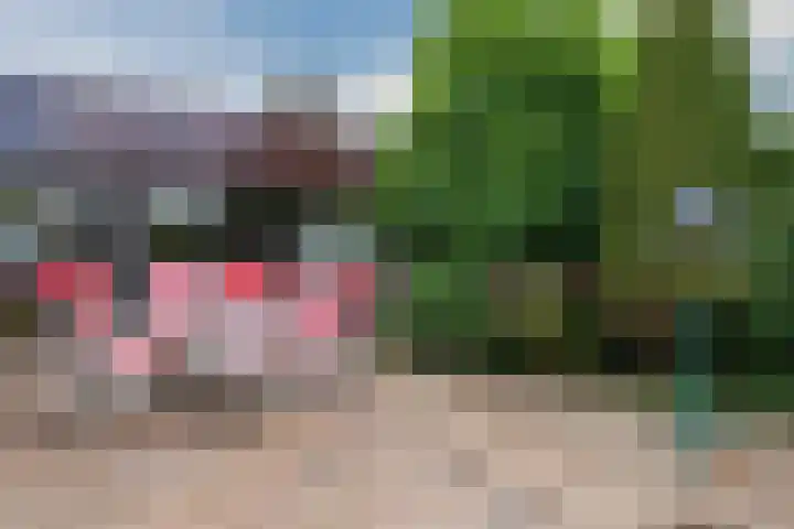 Geerdinkhof 204 Amsterdam thumbnail 20