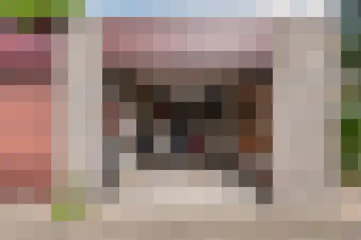 Geerdinkhof 204 Amsterdam thumbnail 21