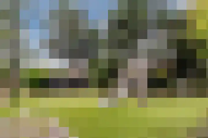 Geerdinkhof 204 Amsterdam thumbnail 22