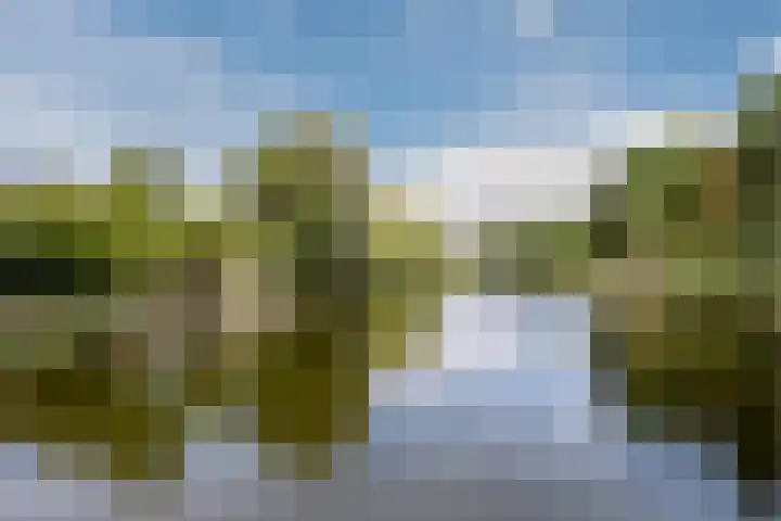Geerdinkhof 204 Amsterdam thumbnail 25