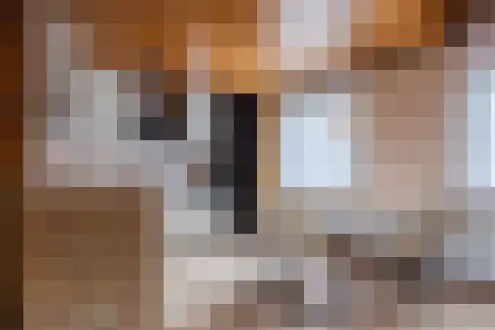 Geerdinkhof 204 Amsterdam thumbnail 7