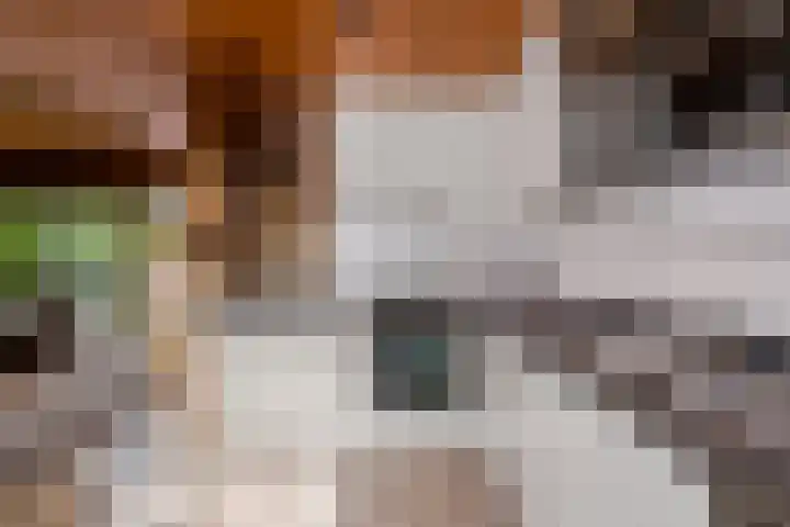 Geerdinkhof 204 Amsterdam thumbnail 8