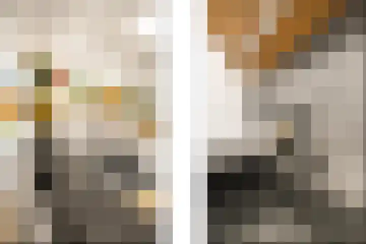 Geerdinkhof 224 Amsterdam thumbnail 13