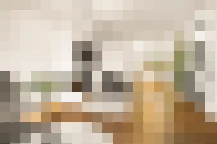 Geerdinkhof 224 Amsterdam thumbnail 4