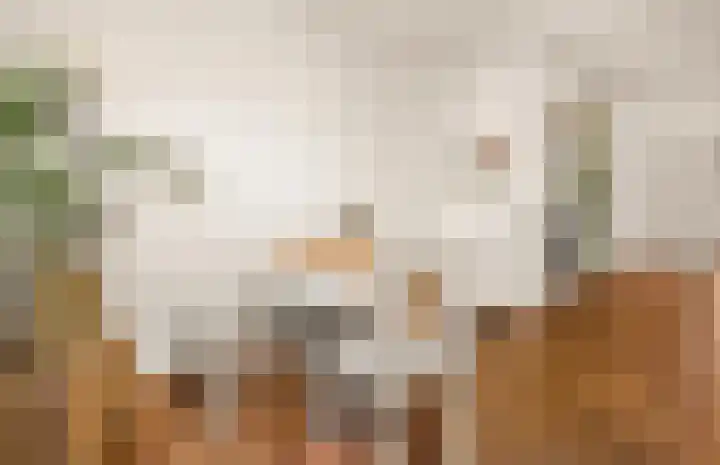 Geerdinkhof 224 Amsterdam thumbnail 8