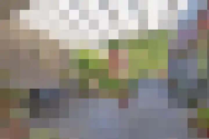 Geerdinkhof 228 Amsterdam thumbnail 17
