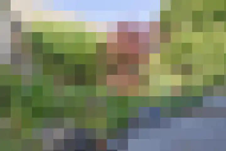Geerdinkhof 228 Amsterdam thumbnail 19