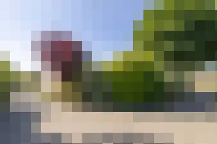 Geerdinkhof 228 Amsterdam thumbnail 32