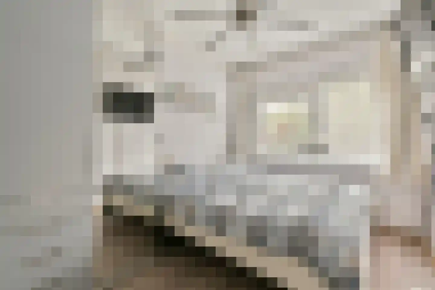 Geerdinkhof 264 A Amsterdam thumbnail 18