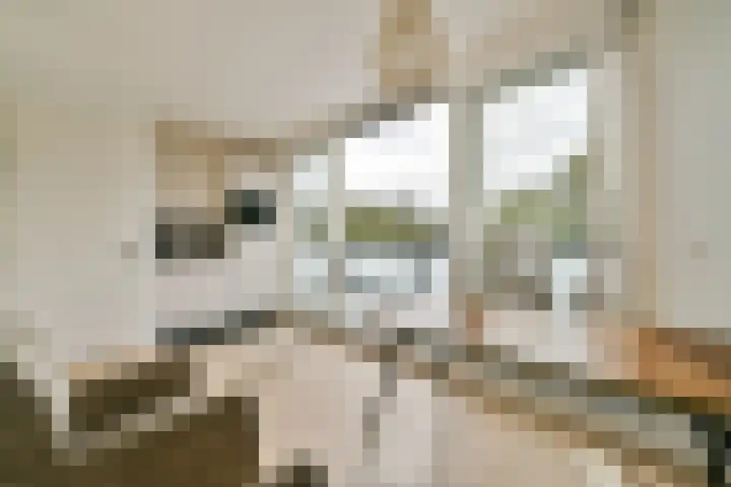 Geerdinkhof 264 A Amsterdam thumbnail 22
