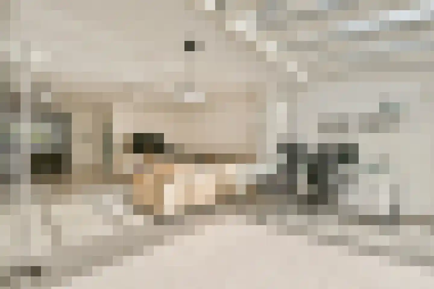 Geerdinkhof 264 A Amsterdam thumbnail 7