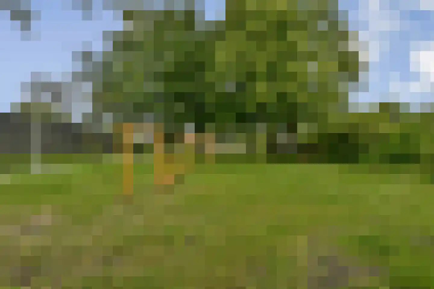 Geerdinkhof 285 Amsterdam thumbnail 36
