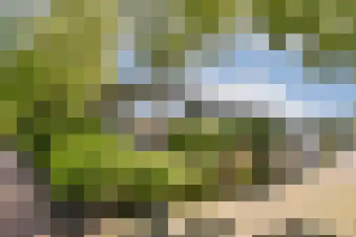 Geerdinkhof 295 Amsterdam thumbnail 15