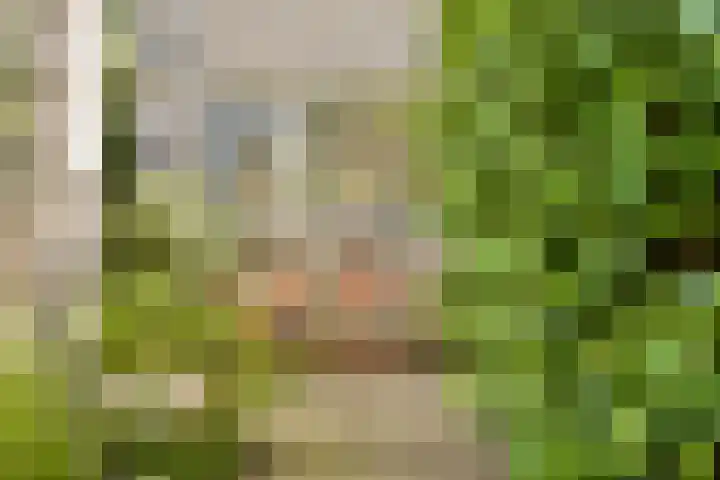 Geerdinkhof 295 Amsterdam thumbnail 17