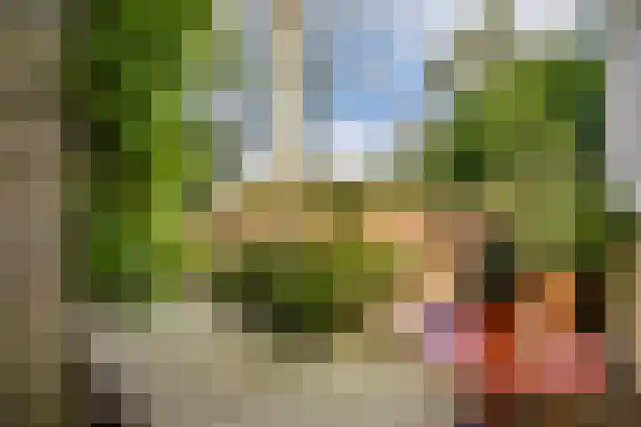 Geerdinkhof 295 Amsterdam thumbnail 18