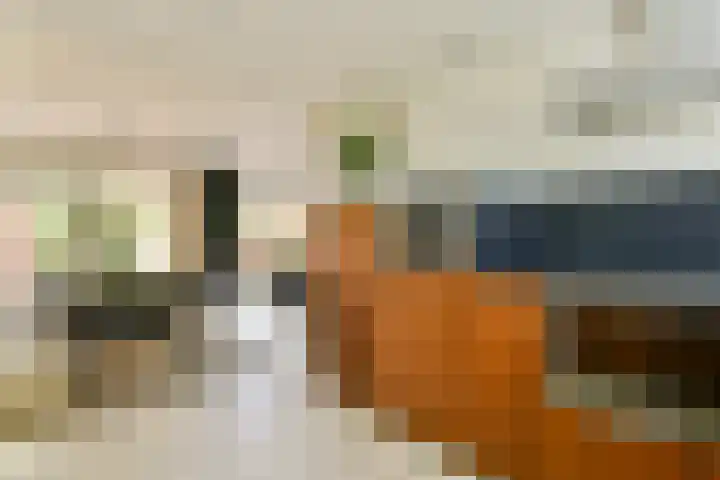 Geerdinkhof 295 Amsterdam thumbnail 25