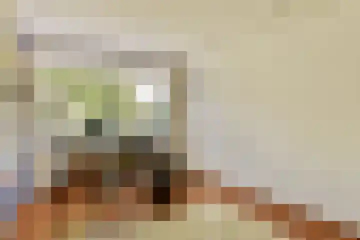 Geerdinkhof 295 Amsterdam thumbnail 36