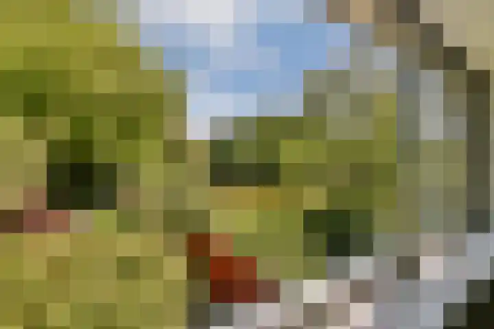 Geerdinkhof 295 Amsterdam thumbnail 37