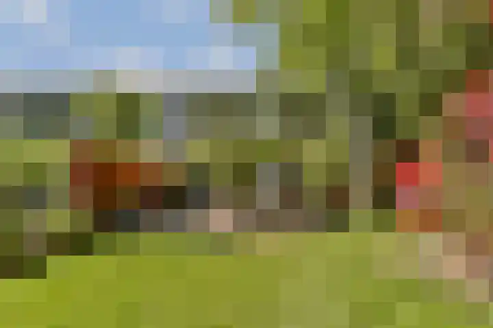 Geerdinkhof 295 Amsterdam thumbnail 4