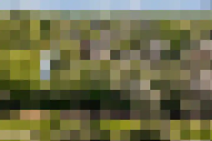 Geerdinkhof 295 Amsterdam thumbnail 47