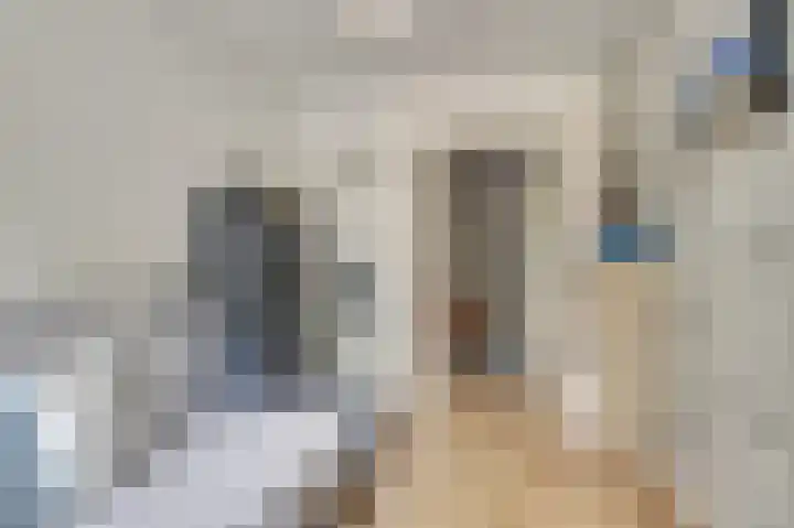 Geerdinkhof 304 Amsterdam thumbnail 10