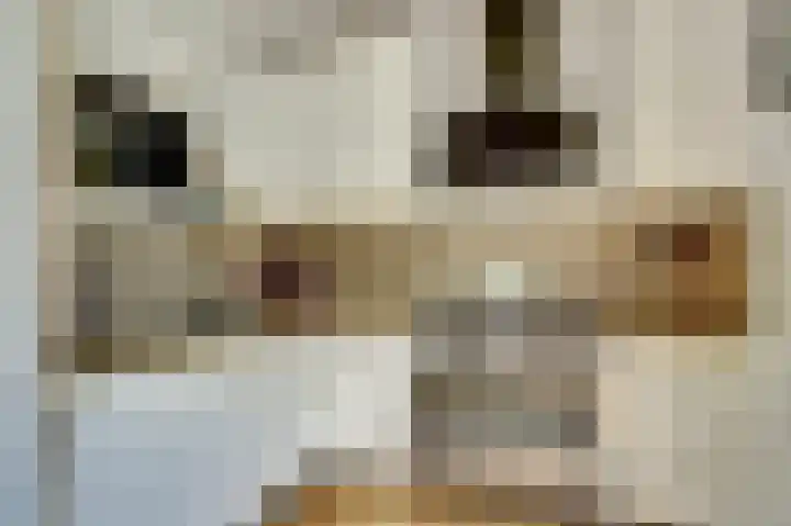 Geerdinkhof 304 Amsterdam thumbnail 15