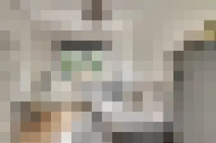 Geerdinkhof 304 Amsterdam thumbnail 32