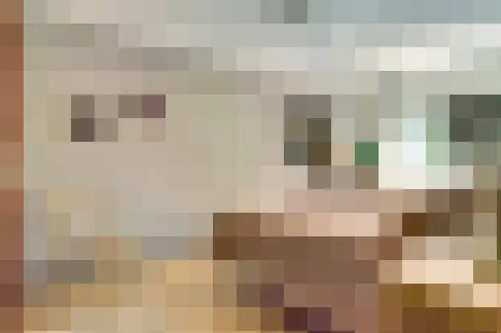 Geerdinkhof 304 Amsterdam thumbnail 33