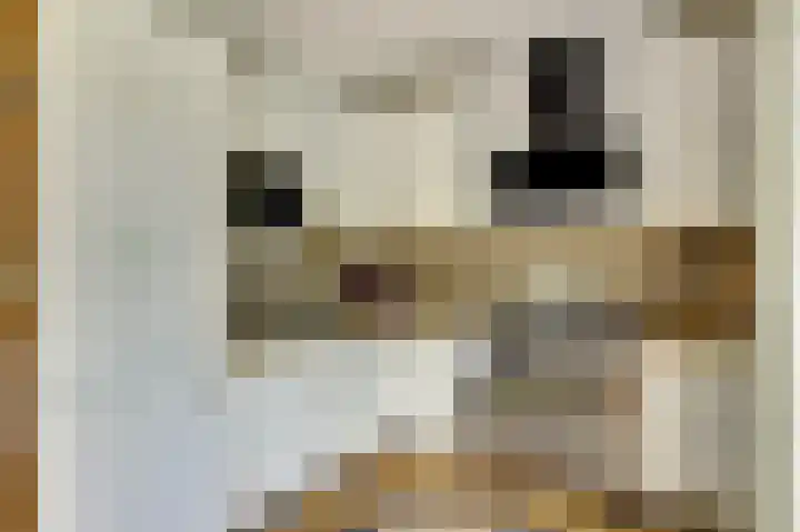Geerdinkhof 304 Amsterdam thumbnail 35