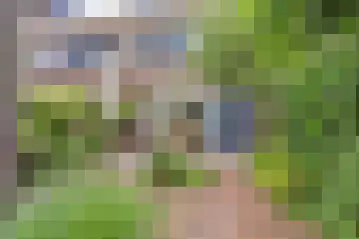 Geerdinkhof 304 Amsterdam thumbnail 39