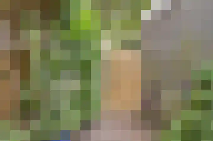 Geerdinkhof 304 Amsterdam thumbnail 40