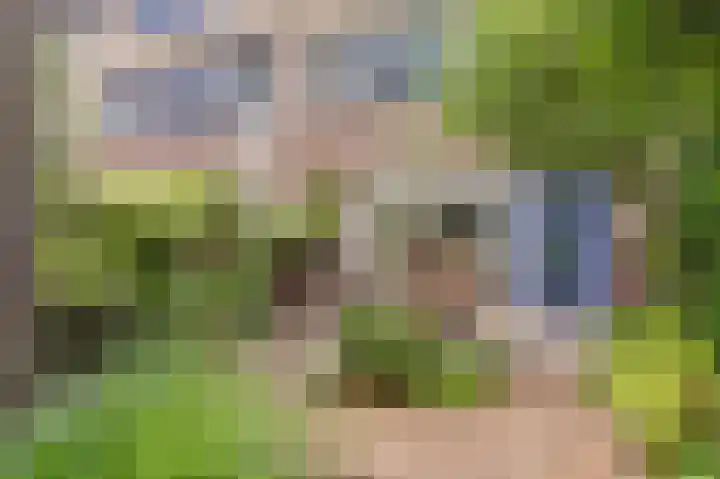 Geerdinkhof 304 Amsterdam thumbnail 41
