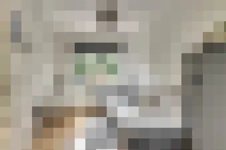 Geerdinkhof 304 Amsterdam thumbnail 44