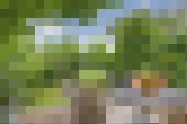 Geerdinkhof 304 Amsterdam thumbnail 6