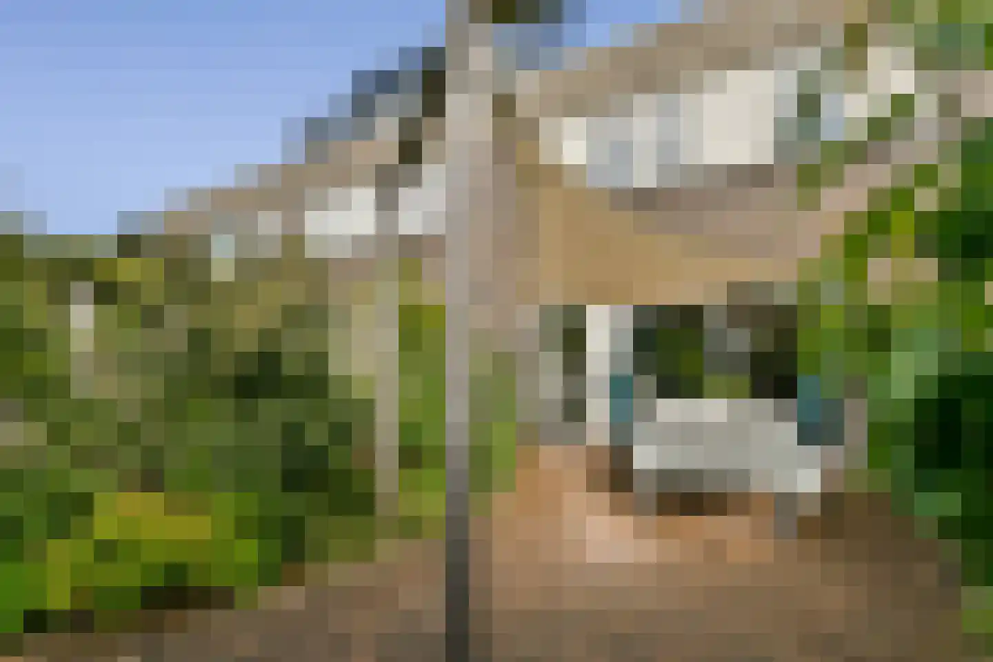 Geerdinkhof 309 Amsterdam thumbnail 12