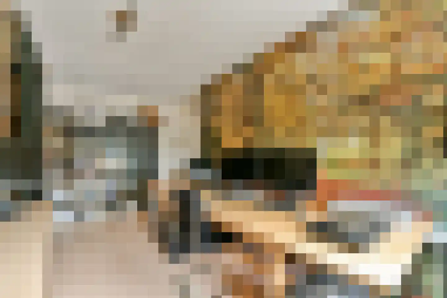 Geerdinkhof 309 Amsterdam thumbnail 21
