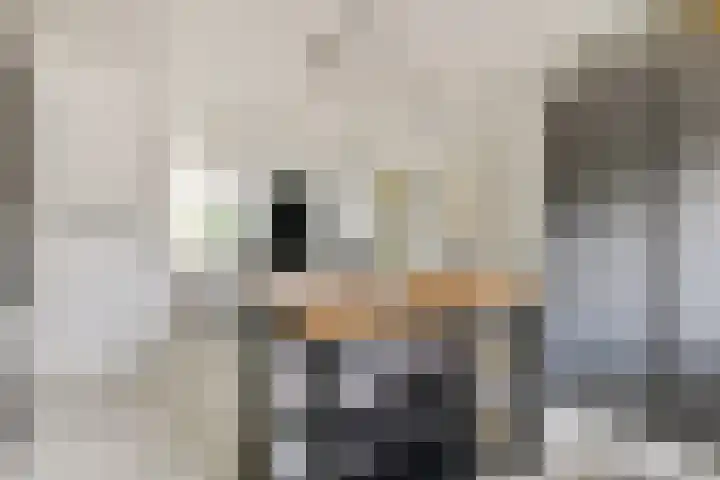 Geerdinkhof 32 Amsterdam thumbnail 12