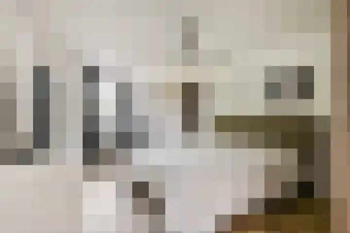 Geerdinkhof 32 Amsterdam thumbnail 18