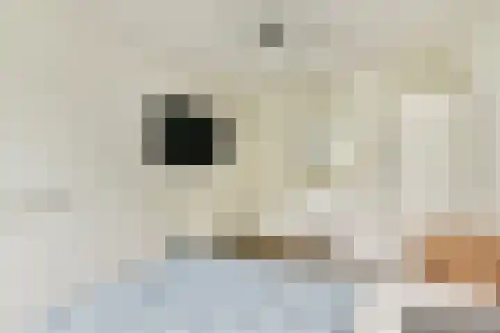 Geerdinkhof 32 Amsterdam thumbnail 25