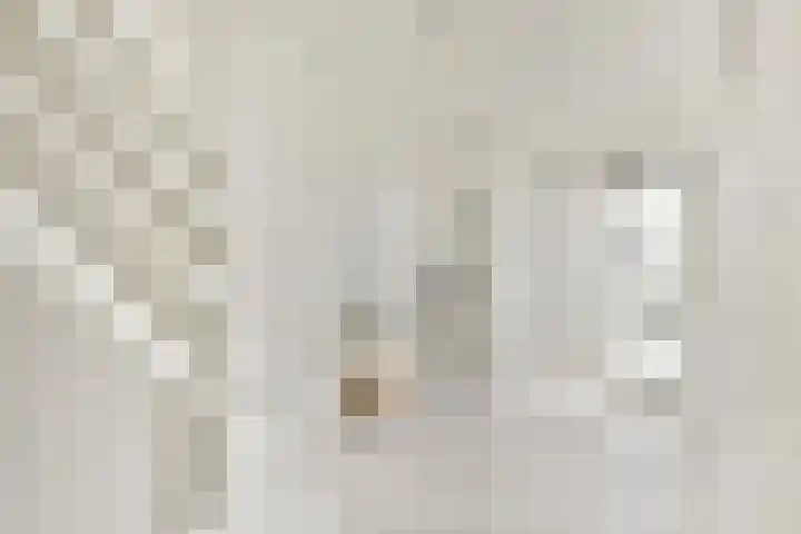 Geerdinkhof 32 Amsterdam thumbnail 30