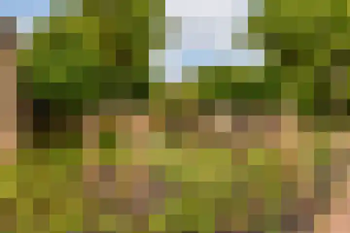Geerdinkhof 32 Amsterdam thumbnail 35