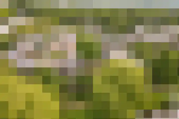 Geerdinkhof 32 Amsterdam thumbnail 36