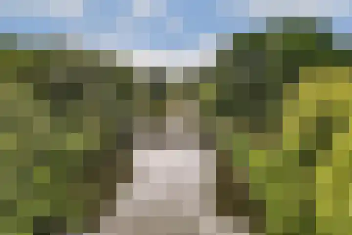 Geerdinkhof 32 Amsterdam thumbnail 37