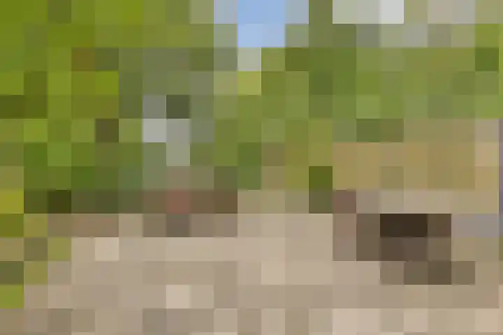 Geerdinkhof 32 Amsterdam thumbnail 4