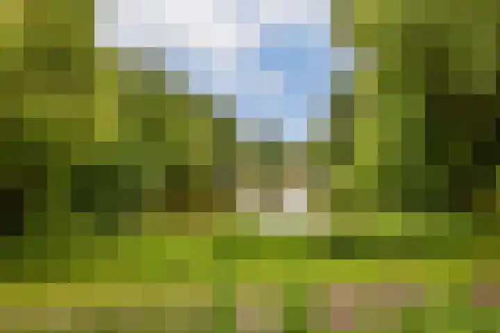 Geerdinkhof 32 Amsterdam thumbnail 5