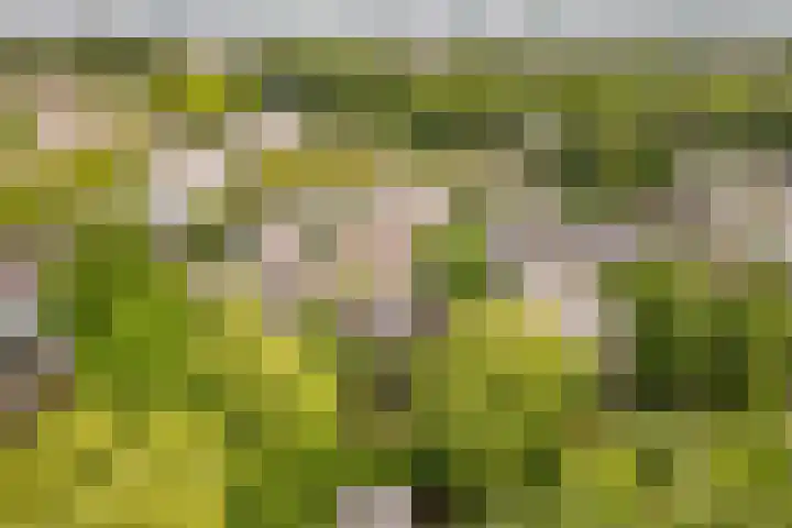 Geerdinkhof 32 Amsterdam thumbnail 6