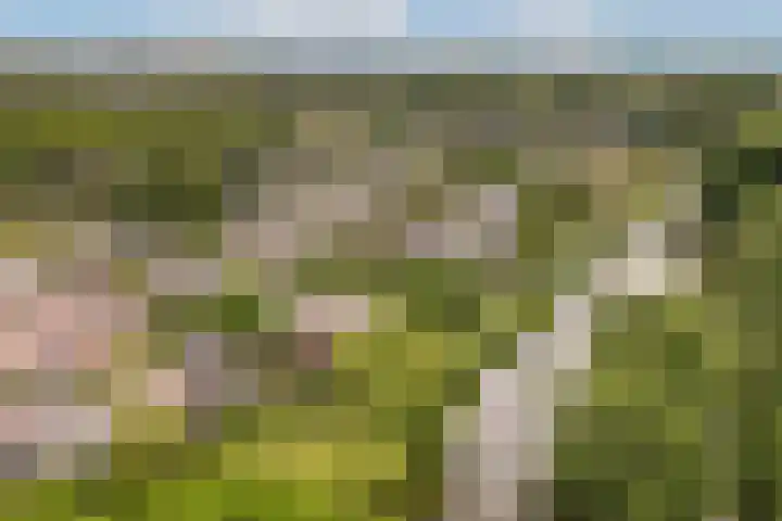 Geerdinkhof 32 Amsterdam thumbnail 7