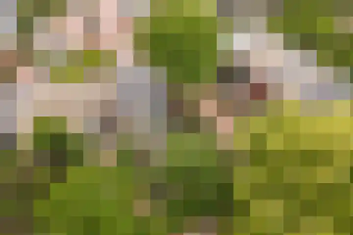 Geerdinkhof 32 Amsterdam thumbnail 8