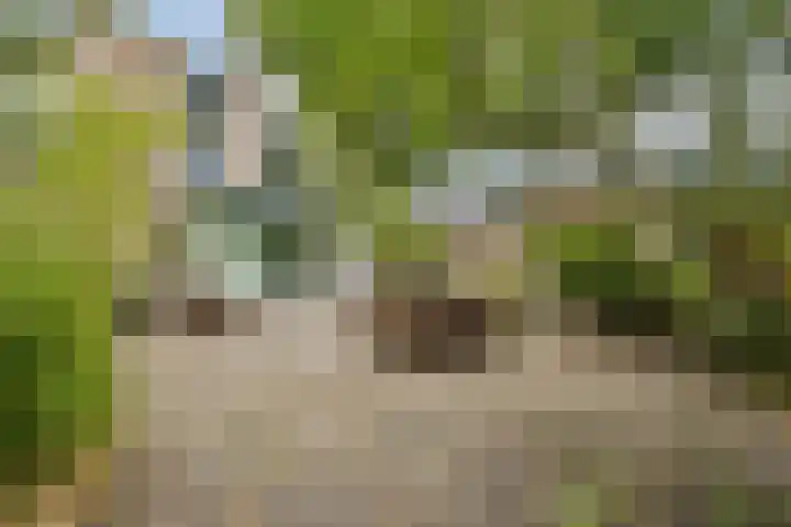 Geerdinkhof 32 Amsterdam thumbnail 9